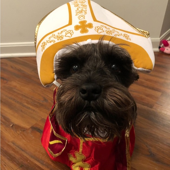 Other - Pope Sz M Red & Gold Dog Costume